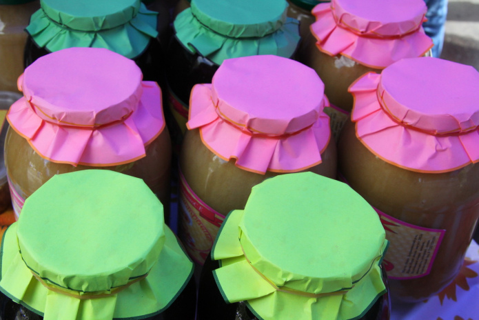 В ВКО открывается научно-исследовательский центр алтаеведения